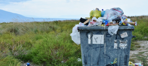 Утилизация продуктов питания