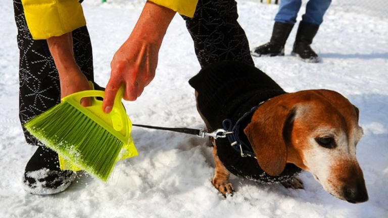 Вывоз и утилизация пластиковых пакетов