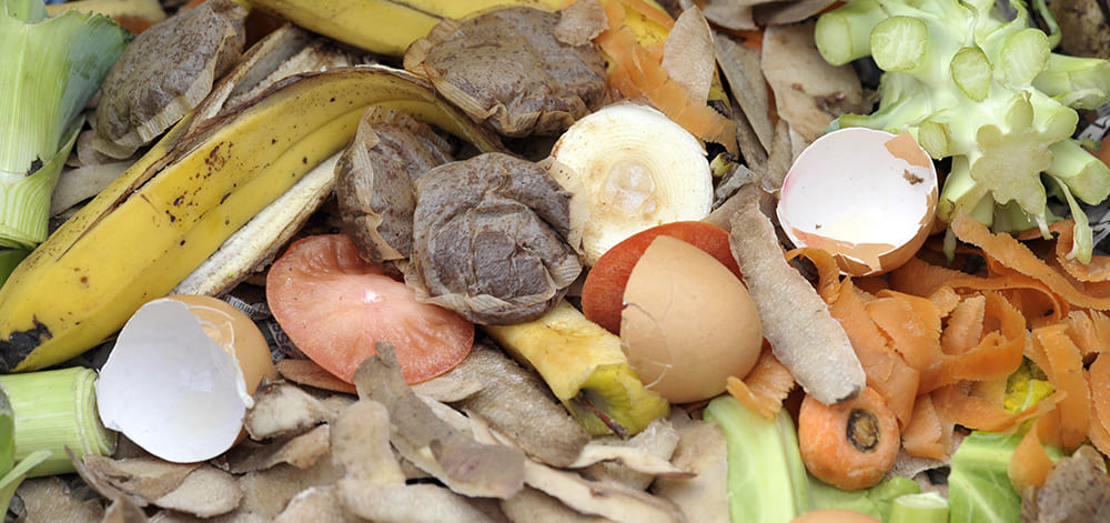 отходы выгребных ям